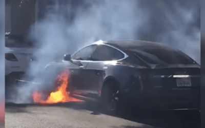 Tesla goes up in flames in video captured by actor Mary McCormack