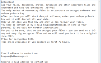 New Ransomware Arrives With A Hidden Feature That Hints At More Sophisticated Attacks To Come