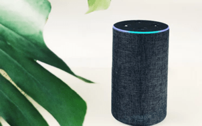 Amazon Reportedly Ordered To Hand Over Echo Recordings In N.H. Murder Trial