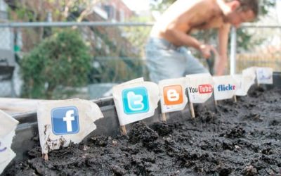 The Fertile Garden of Social Media is ripe for attracting Cybercriminals to your Business