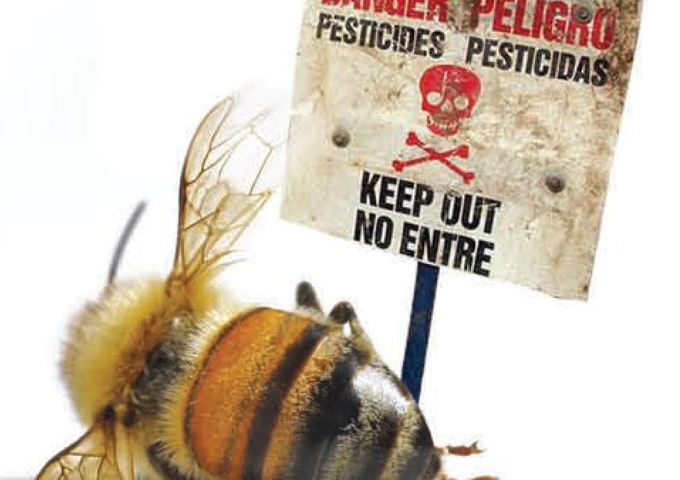 Toxic pesticides causing an Insect ‘apocalypse’ in U.S.