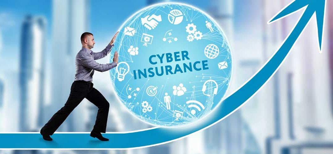 Protecting Company Assets and Cybersecurity Insurance