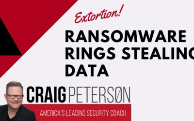 Ransomware rings adapt to business declarations by Revealing Stolen Data