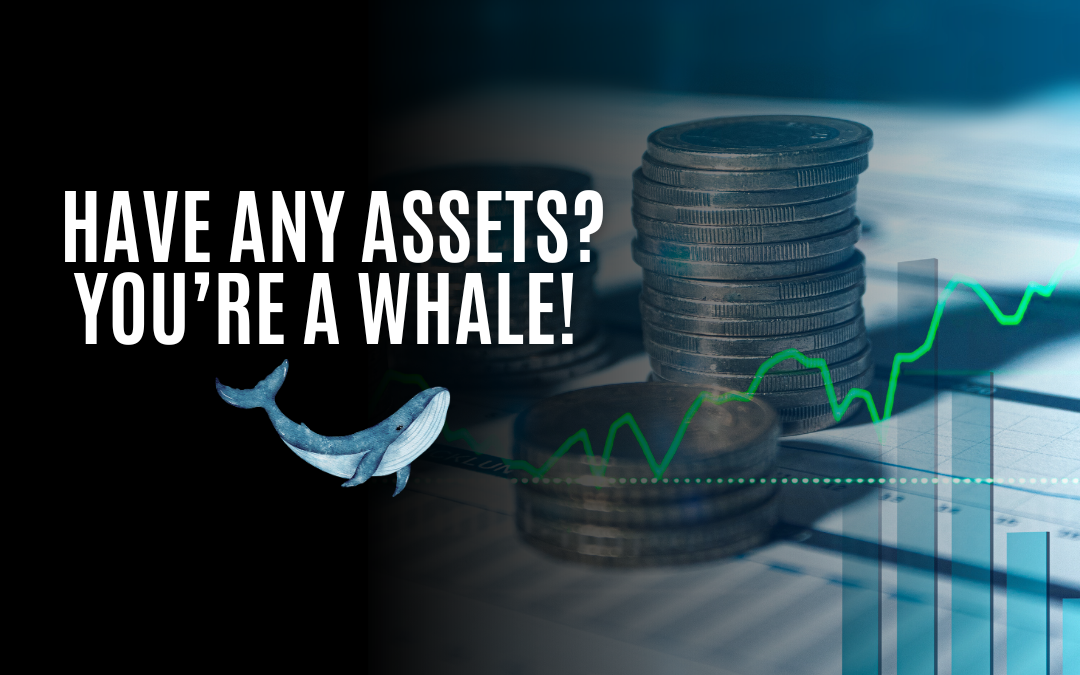 Have Any Assets? You’re a Whale! 🐳 Stay One Step Ahead with These Tips!