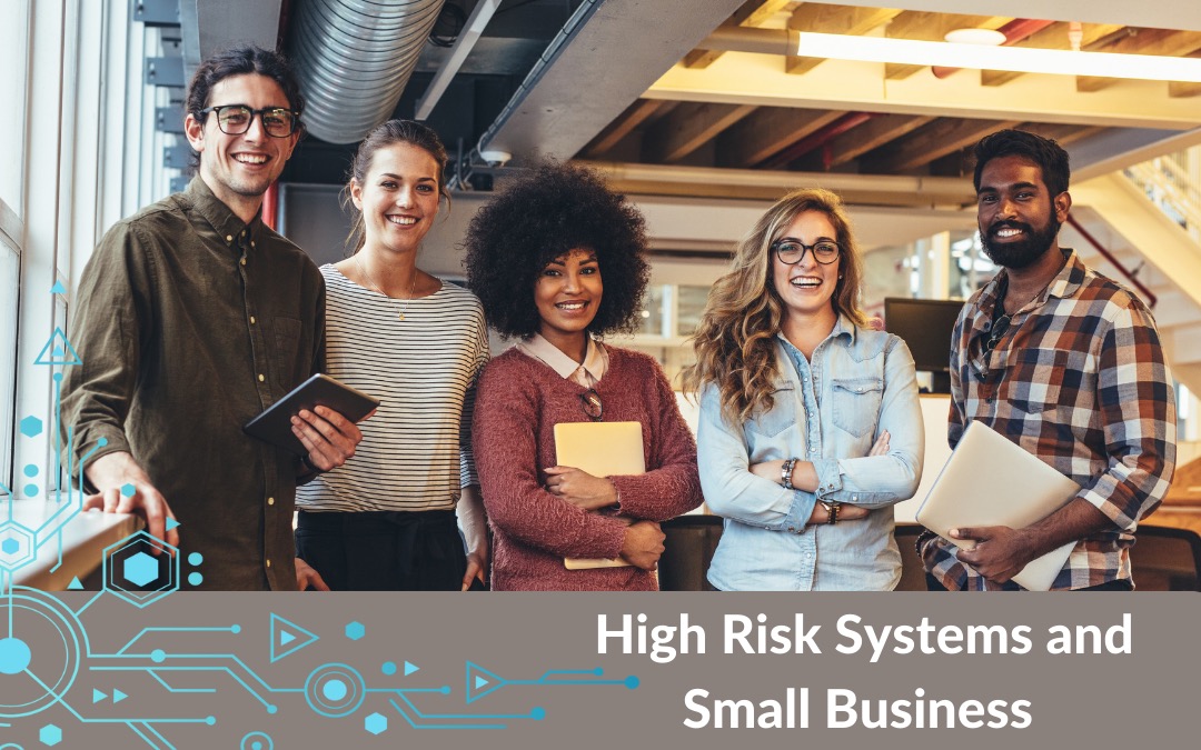 Protecting the Underdogs: Safeguarding Small Businesses from High-Risk Systems